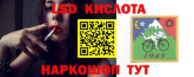 прущие грибы Балаково
