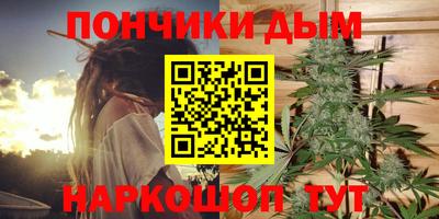 прущие грибы Балаково