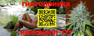 сатива Балахна