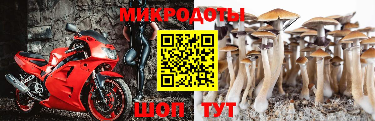 Галлюциногенные грибы Cubensis  Вход с VPN  Бахчисарай  Галлюциногенные грибы Psilocybine cubensis 