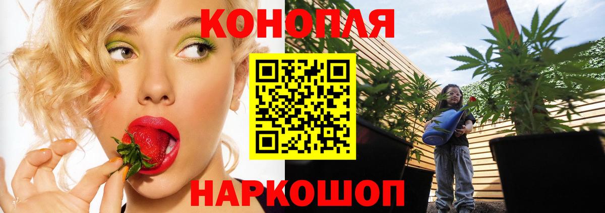 Конопля MAZAR  Вход с VPN  Бахчисарай  Бошки Шишки тримм 
